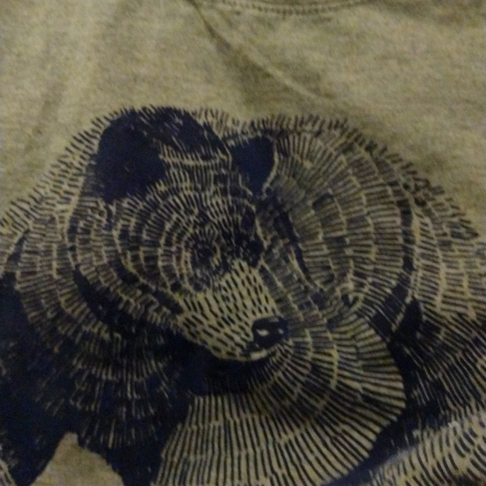 2 Boy Levi's brand tshirts